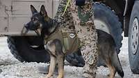Ein Diensthund steht zwischen den Beinen eines Soldaten, der diesen an der Leine hält