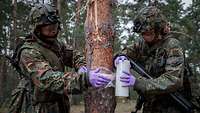 Zwei Soldaten befestigen eine Sprengladung an einem Baum. 