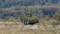 Ein Radpanzer Boxer ist mit Busch- und Blattwerk getarnt kaum vor dem Hintergrund der Vegetation zu erkennen