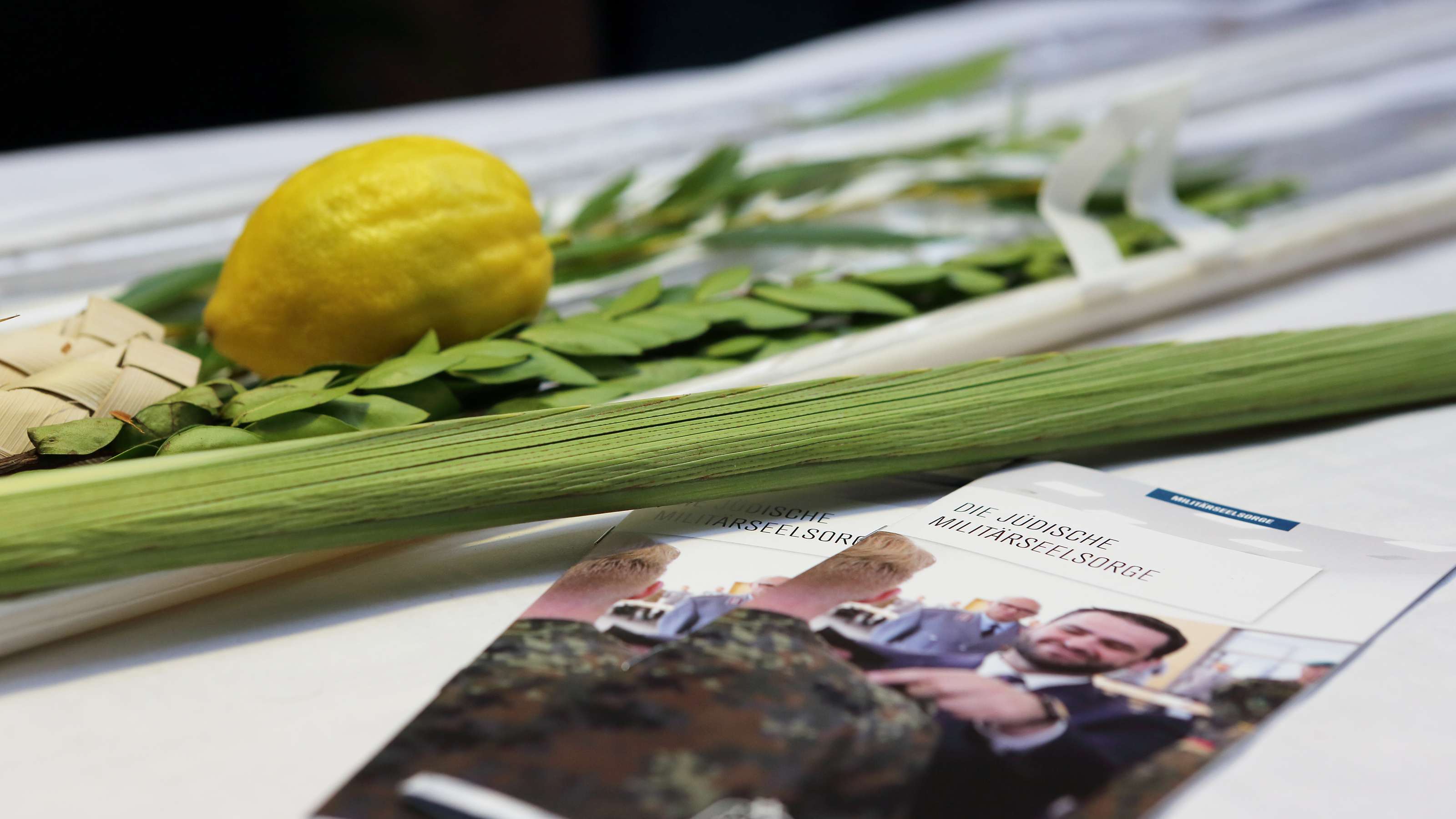 „Freiheit und Frieden immer wieder neu erkämpfen“ Sukkot im