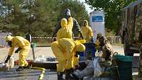 Four persons clad in yellow protective overalls decontaminating other persons