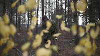 Ein Soldat ist mit Zweigen und Tarnkleidung getarnt und marschiert langsam durch den herbstlichen Wald