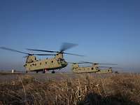 Four helicopters on a site