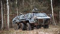 Ein Transportpanzer Fuchs mit Soldaten fährt durch ein Waldstück