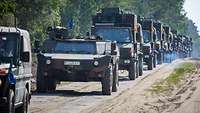 Mehrere Militärfahrzeuge fahren in einem Konvoi auf einem halbbefestigten Waldweg.