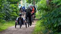 Mehrere Radfahrer fahren auf einem Pfad durch den Wald.