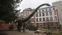 Vor dem Eingang des Senckenberg Museum ein riesiger Dinosaurier.