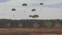 Fallschirmjäger landen mit ihren grünen Schirmen an einer Waldkante.