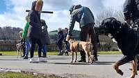 Teilnehmer bei einem Spaziergang mit Hunden