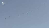 Acht Soldaten schweben an ihren Fallschirmen unter blauem Himmel.