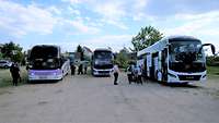 Drei Reisebusse stehen auf einem Parkplatz nebeneinander. 