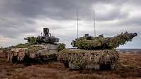 Two armoured vehicles camouflaged with branches stand next to each other on the heath under a cloudy grey sky.