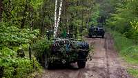 Zwei getarnte Radpanzer stehen hintereinander am Wegesrand im grünen Wald.