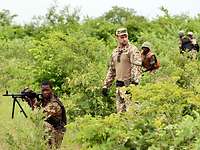 Malische Soldaten und ein Hauptfeldwebel der Bundeswehr beim Training mit Gewehren in dichtem grünem Gelände.
