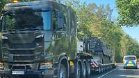 Ein Schwerlasttransporter brachte den Büffel am Vormittag in die Region 