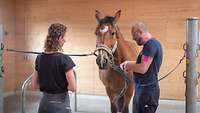 Zwei Personen mit einem Pferd im Stall