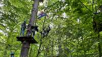 Die Angehörigen klettern von einem Baum über ein Spinnennetz aus gespannten Seilen zum nächsten 