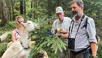 Zwei Männer und eine Frau stehen im Wald, daneben steht eine Ziege und ein Schaf. 