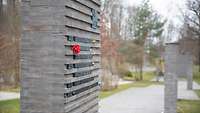 Gedenkstein mit eingebetteten Namen der gefallenen Soldaten. Ein Name ist mit einer roten Rose geschmückt.