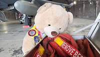 Ein Teddybär vor einem Eurofighter