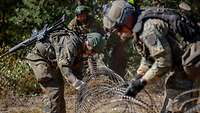 Mehrere Soldaten verlegen mit grauen Handschuhen Stacheldraht am Waldweg.