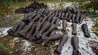 Alte, dunkel verrostete Munition liegt sauber in Reihen sortiert auf verschneitem Waldboden.