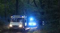 Fahrzeuge des Deutschen Roten Kreuzes fahren im Wald 