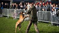 Ein Hund springt einen Soldaten an, im Hintergrund stehen viele Menschen und schauen zu.