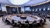 Um einen kreisförmigen, großen Tisch sitzen viele Personen, an den Wänden ist die NATO Rose zu erkennen.