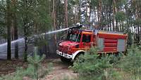 Ein Waldbrand in Lübtheen wird gelöscht