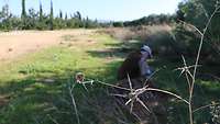 Ein Soldat hockt auf einer großen Fläche, die bewachsen mit Gras, Sträuchern und Bäumen ist.