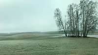 Hügelige Landschaft mit Bäumen in der Suwalki-Lücke – dem Grenzgebiet zwischen Polen und Litauen