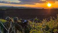 Bei orangefarbenem Sonnenuntergang sitzen Soldaten mit einer großen Waffe neben einem Busch