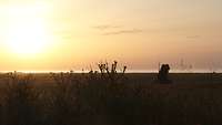 Ein Militärfahrzeug steht auf einem Feld während im Hintergrund über dem Meer die Sonne aufgeht.