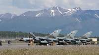Several Tornado fighter jets are lined up at Elmendorf Air Force Base in Alaska.