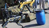 Eine grau-gelb gefleckter Roboter mit Greifarm öffnet eine blaue Tonne