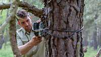 Eine Person platziert eine Wildkamera an einem Baum in einem Wald