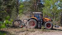 Ein Traktor entfernt mit einem Mulcheraufsatz am Waldrand Jungbäume und andere Pflanzen