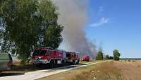 Mehrere Feuerwehrfahrzeuge stehen in Bereitschaft, im Hintergrund ein Heidebrand