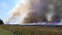 Im Vordergrund eine Wiese, im Hintergrund ein Vegetationsbrand auf breiter Fläche.