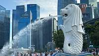 Eine Statue im Zentrum von Singapur speit Wasser vor einer Hochhauskulisse.