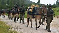 Mehrere Maultiere mit Gepäck und zwei Soldaten stehen auf einem Gebirgsweg.