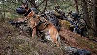 Mehrere Soldaten und ein Hund liegen hinter einem Wall in Stellung.