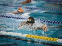 Ein Sportler mit Badekappe "GER" beim Brustschwimmen in einem Schwimmbecken