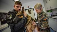 Ein Polizist und eine Soldatin behandeln eine Hund