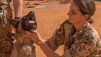 Soldatin untersucht einen Hund