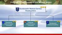 Chart of the Structure of the Bundeswehr Joint Medical Service