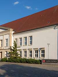 A light-coloured building in the sunshine with a coniferous tree on either side of the main entrance