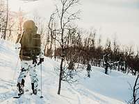 A soldier carrying a backpack moves on skis through a snowy landscape with sparse tree cover.