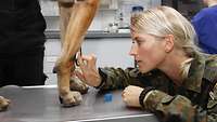 Eine Veterinärmedizinerin untersucht ein Hundebein